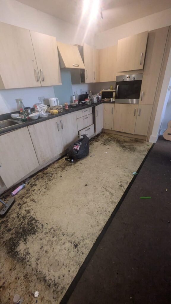 Hoarding Clearances/Cleans