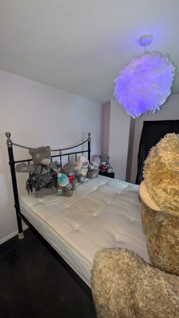 Hoarding Clearances/Cleans